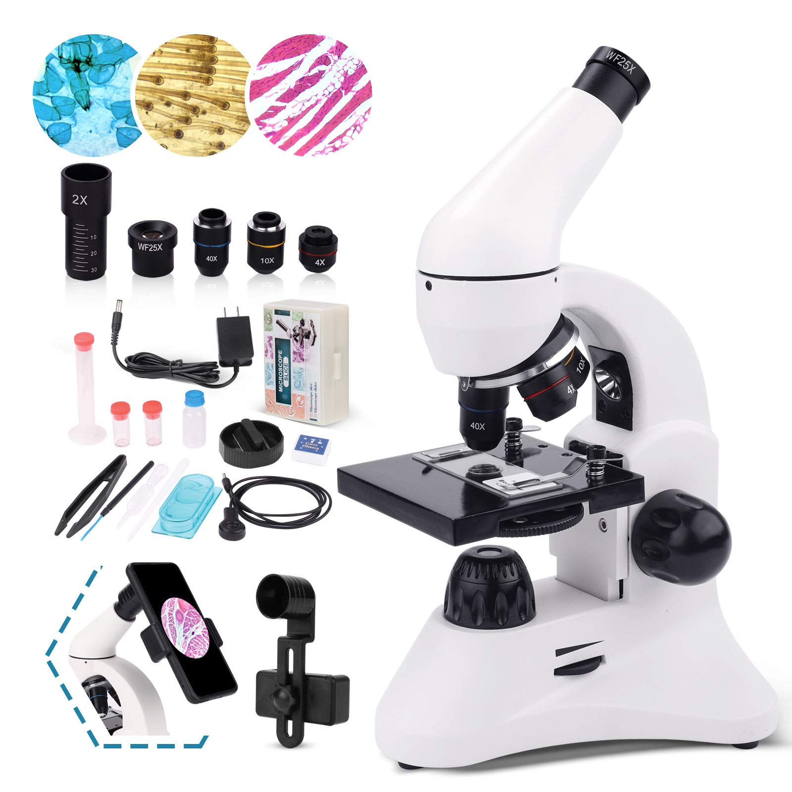 USCAMEL Compound Monocular Microscope for Education