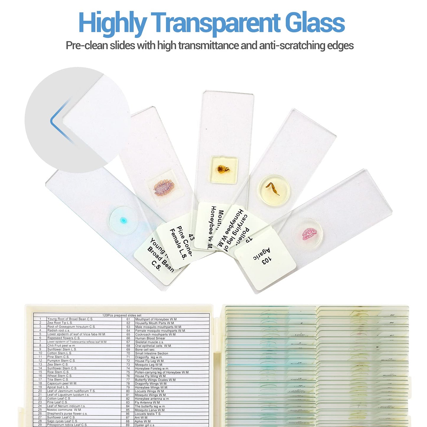 120 Microscope Slides with Specimens for Kids