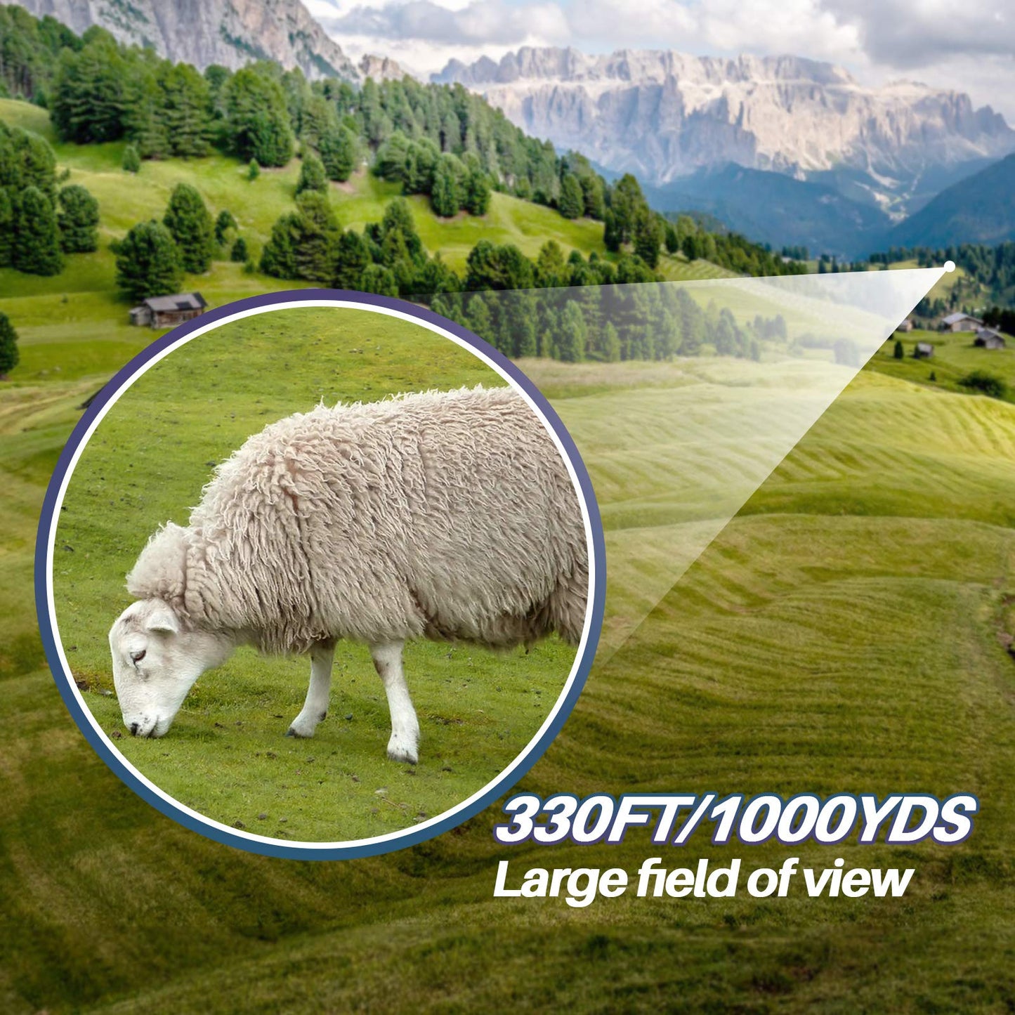 HD Compact Binoculars