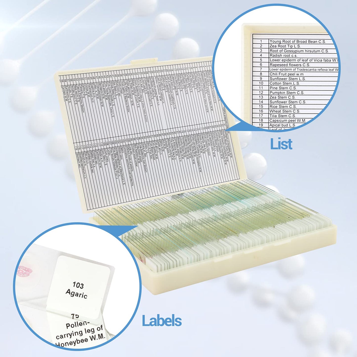 120 Microscope Slides with Specimens for Kids