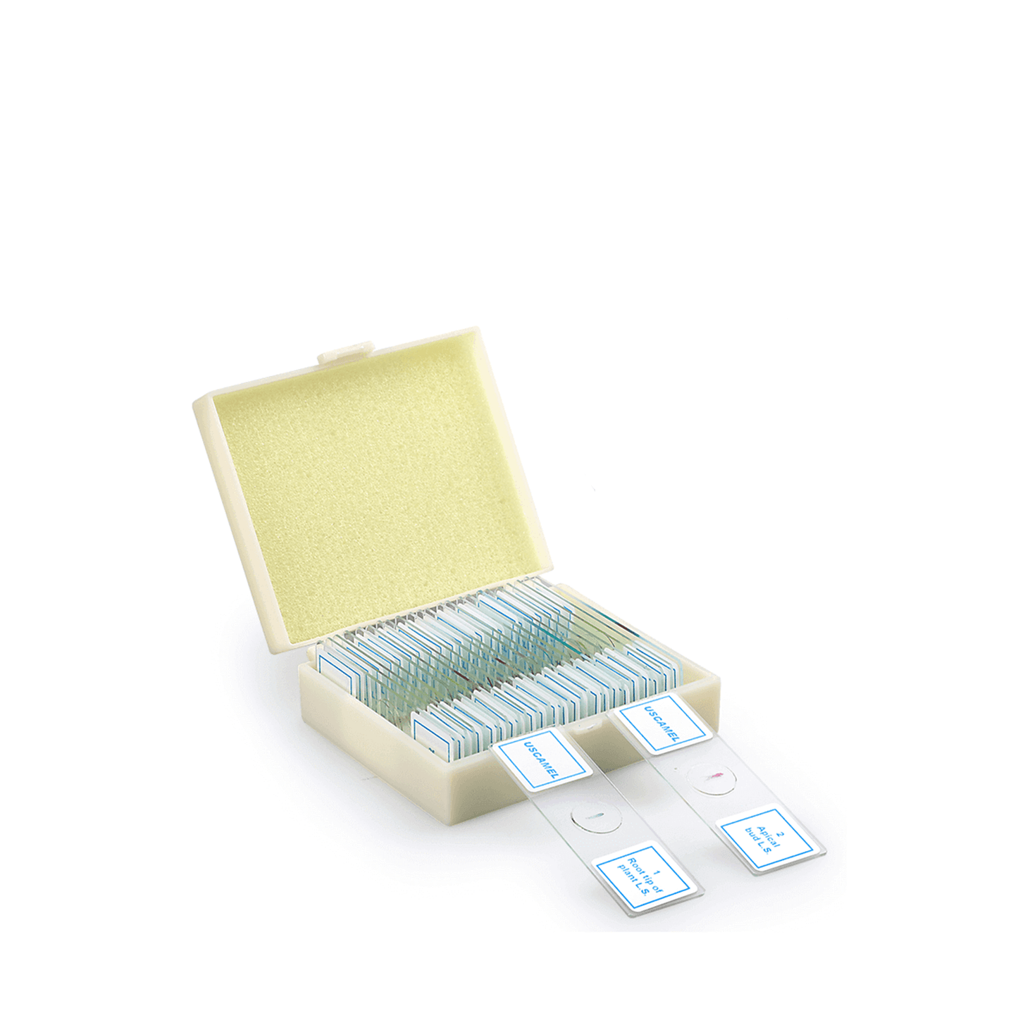 Slides Sets For Microscope