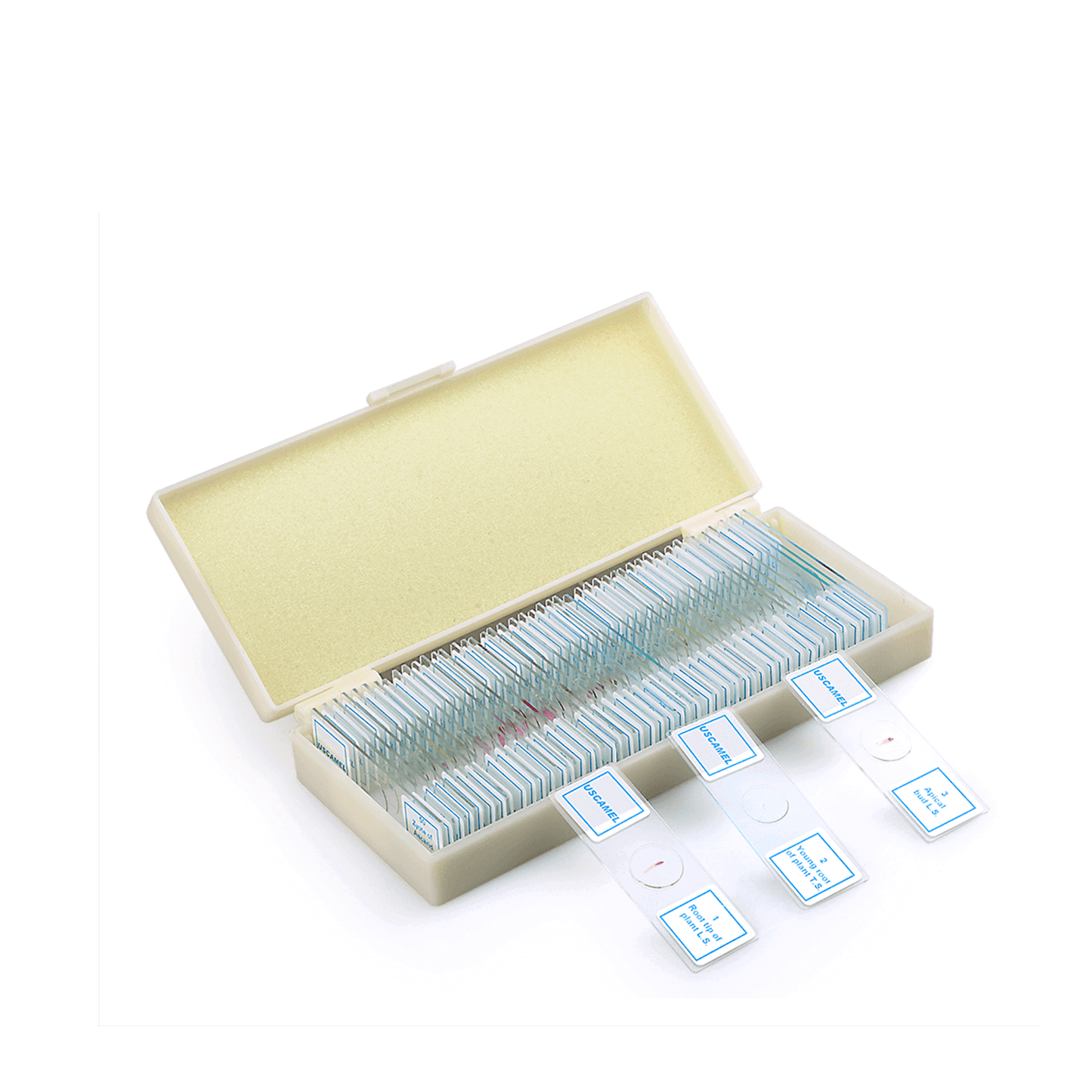 Slides Sets For Microscope