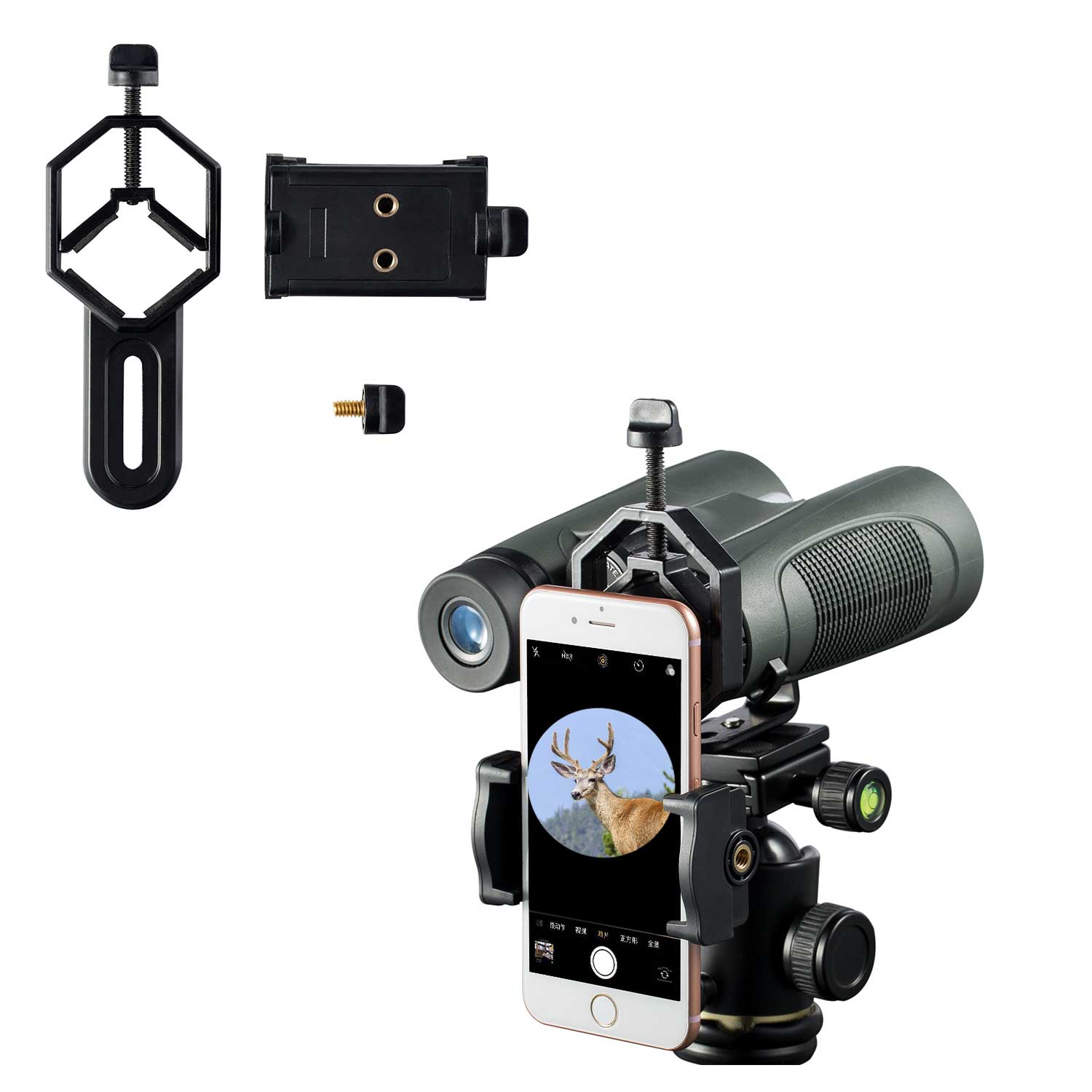 Telescope with shops phone adapter