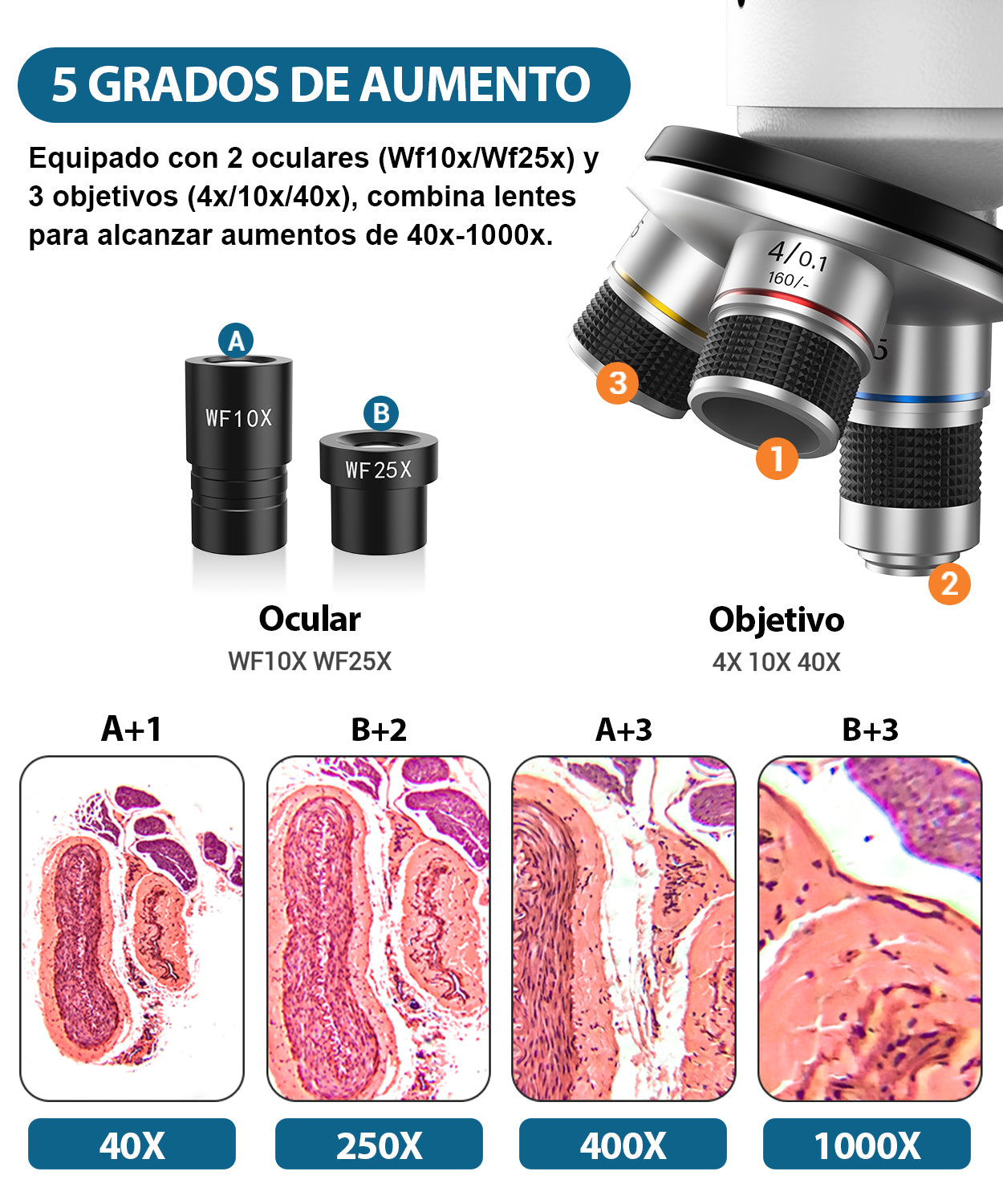 USCAMEL 40x-1000x Professional Binocular Microscope
