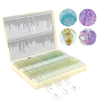 120 Microscope Slides with Specimens for Kids