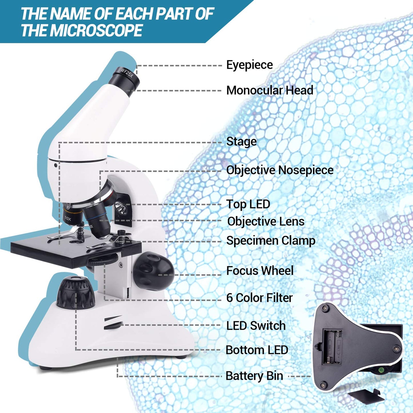 Microscope For Laboratory, School & Home Education