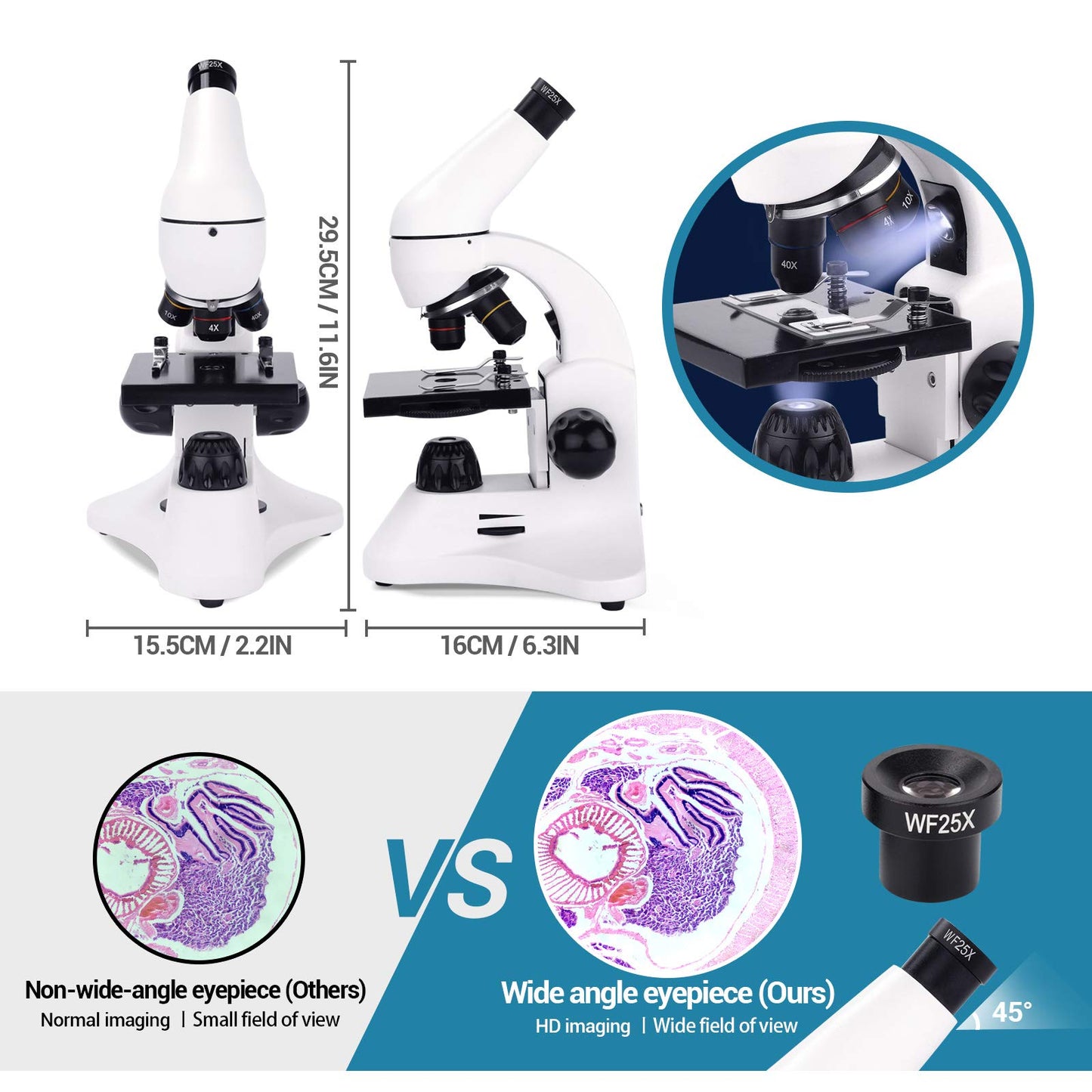 Microscope For Laboratory, School & Home Education