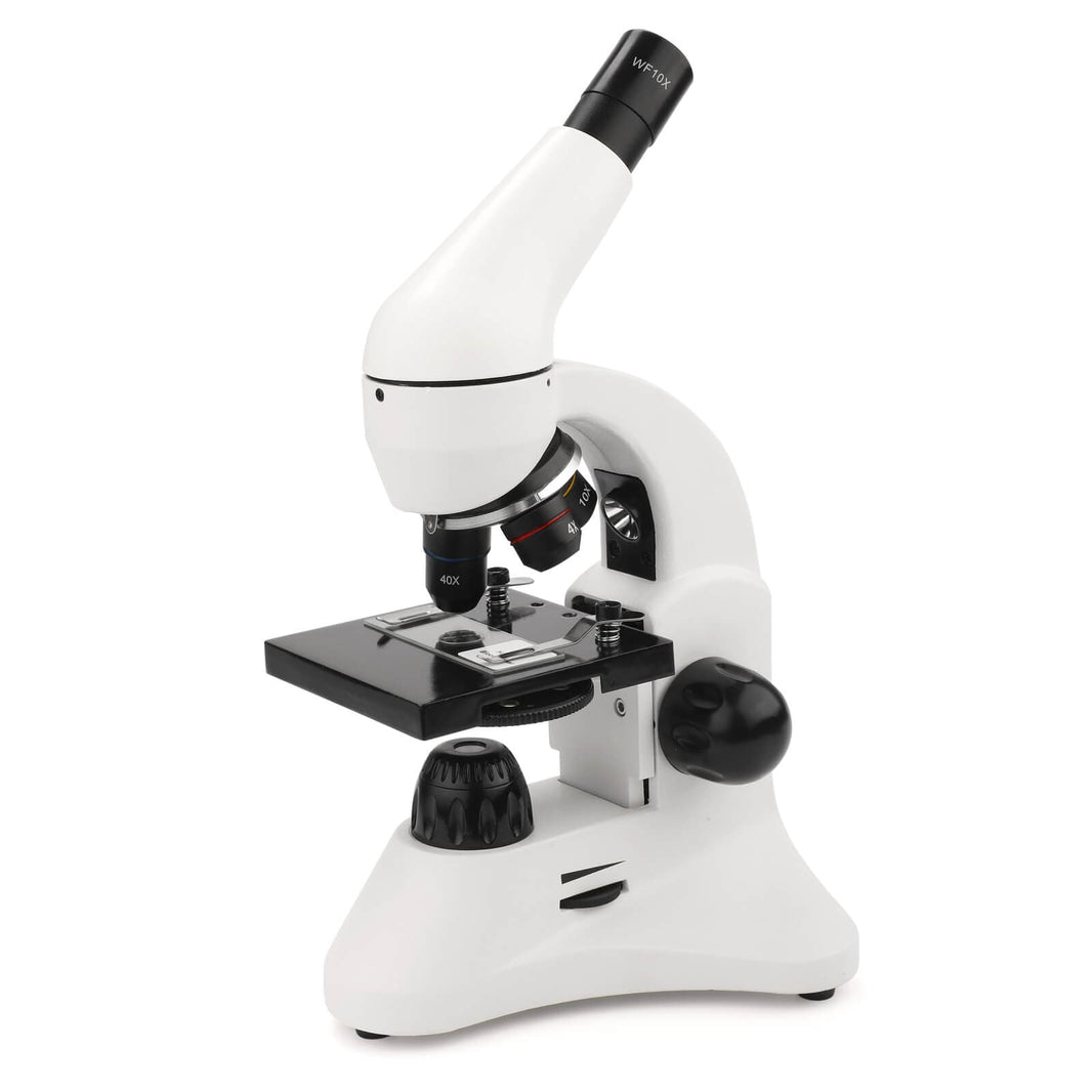 Uscamel Microscopes Expand Your Horizon – USCAMEL Optics